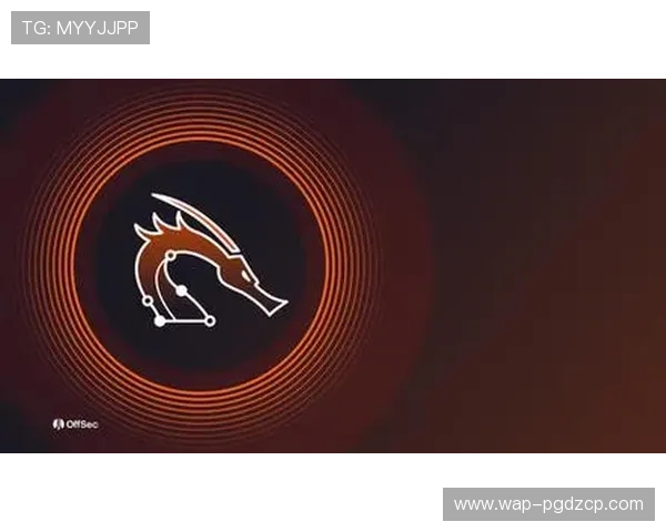 PG国际官方旗舰店官网官方平台,安全支付保障与快速配送服务体验 PG国际官方旗舰店官网官方平台,安全支付保障与快速配送服务体验