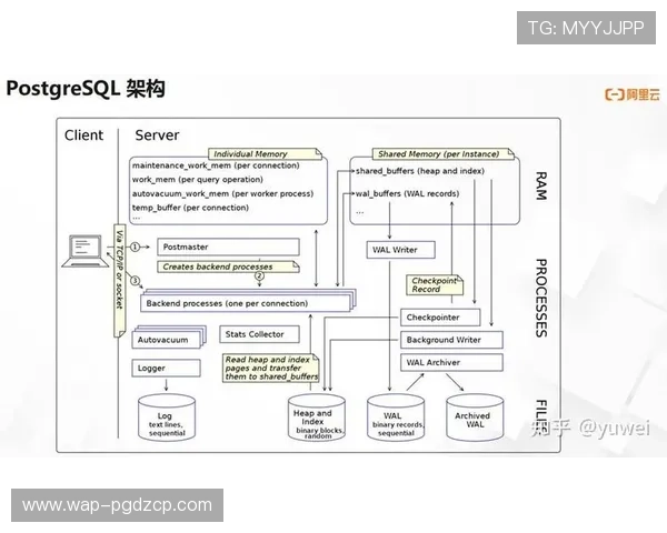 PG国际旗舰厅登录线路2持续优化技术架构，提升系统抗压能力应对高峰期访问需求