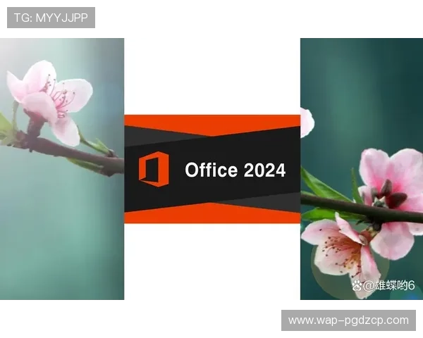 dafa娱乐场官网2024最新版本下载与安装教程详解