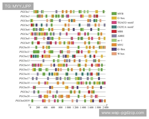 关于PG电子正规官网的合法性认证流程及其在行业中的权威认证情况深度解析 关于PG电子正规官网的合法性认证流程及其在行业中的权威认证情况深度解析