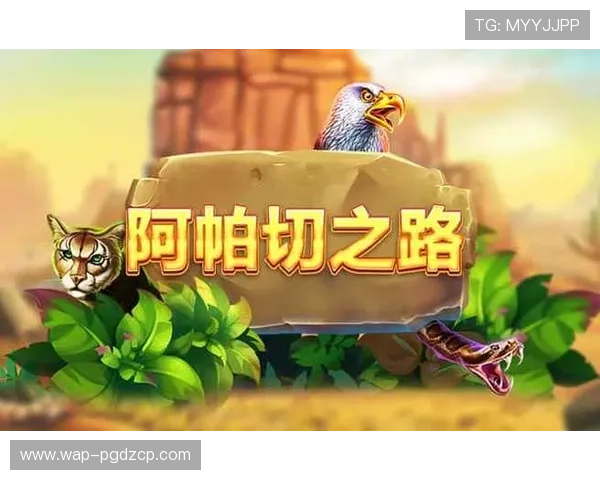 问鼎pg下载娱乐安卓平台最新版本推荐，畅享极致游戏体验与丰富娱乐内容