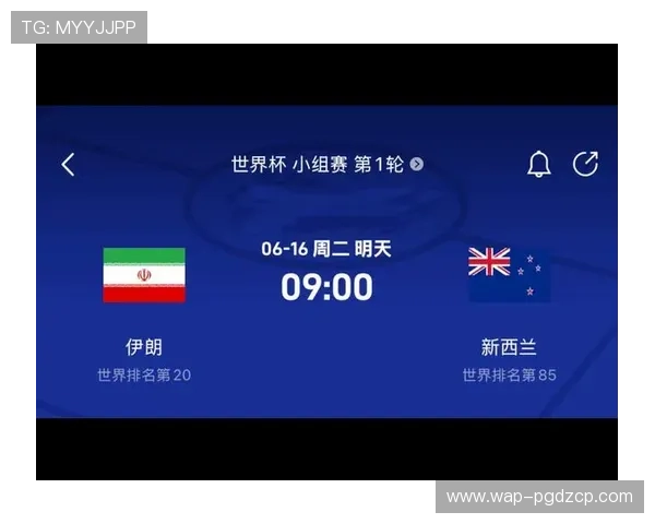 世界杯伊朗新西兰比赛在哪个球场举行,提供赛场信息、交通指南及观赛攻略 世界杯伊朗新西兰比赛在哪个球场举行,提供赛场信息、交通指南及观赛攻略