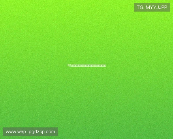 PG网站免费下载是否存在风险专家提醒用户注意网络安全 PG网站免费下载是否存在风险专家提醒用户注意网络安全